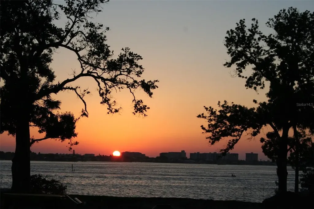 300 Palm Bluff Street Clearwater FL 33755