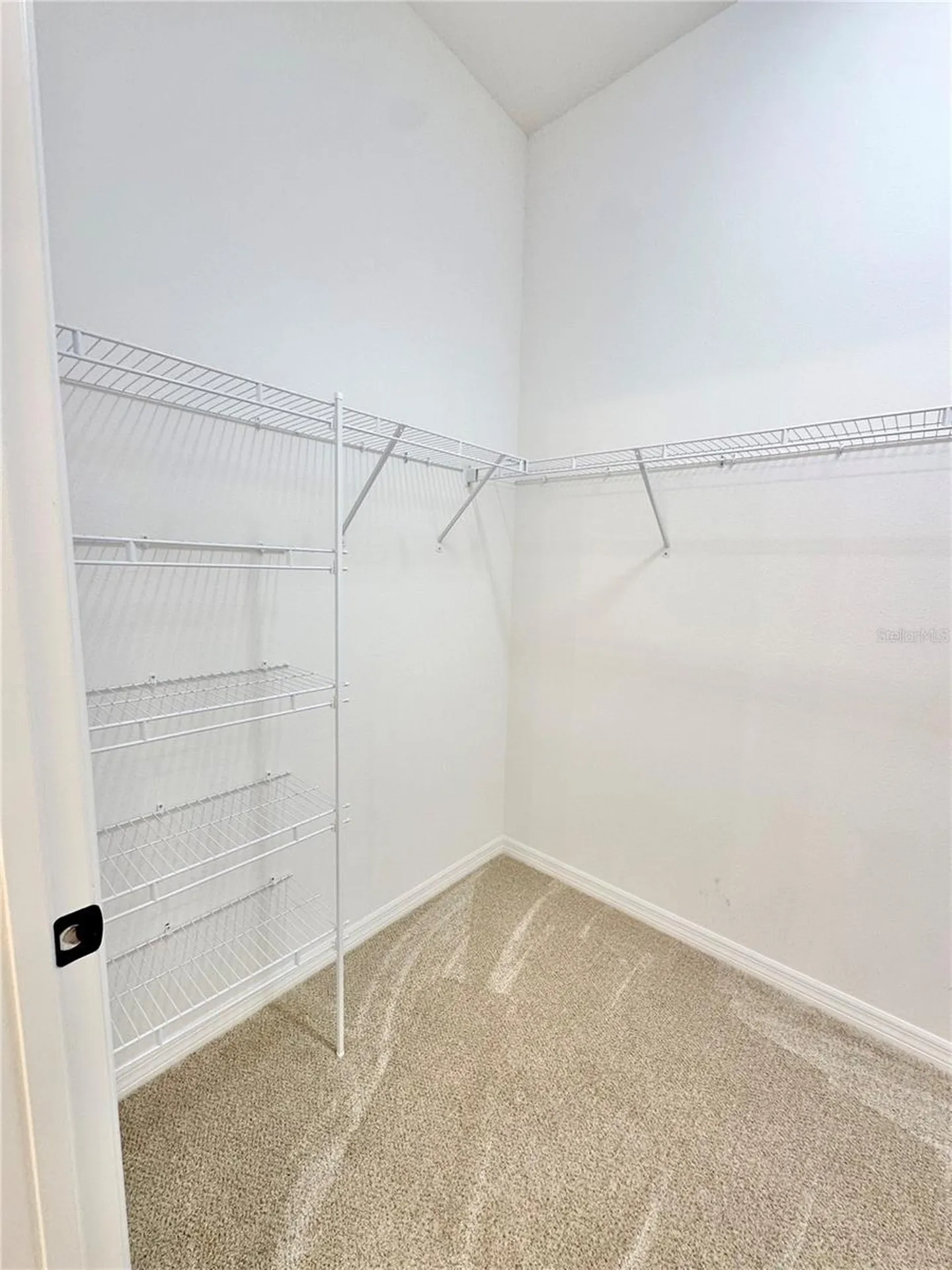 6203 Milagros Court The Villages FL 32163