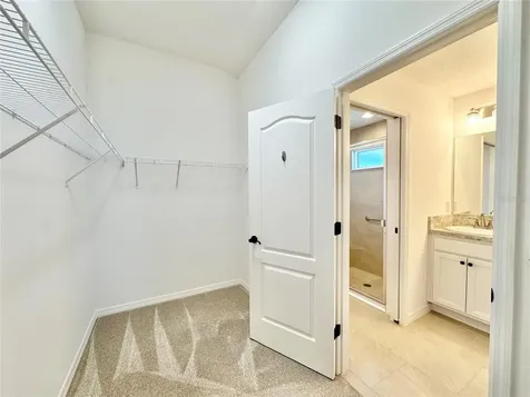 6203 Milagros Court The Villages FL 32163
