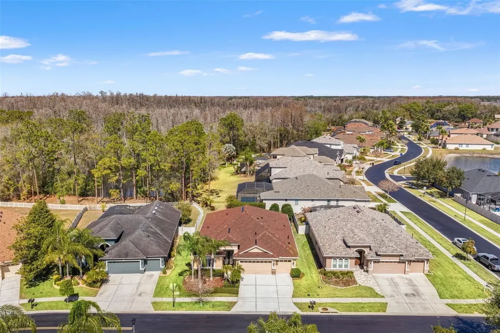 3303 Stonegate Falls Drive Land O Lakes FL 34638