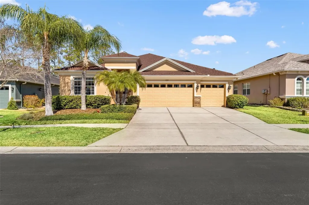 3303 Stonegate Falls Drive Land O Lakes FL 34638
