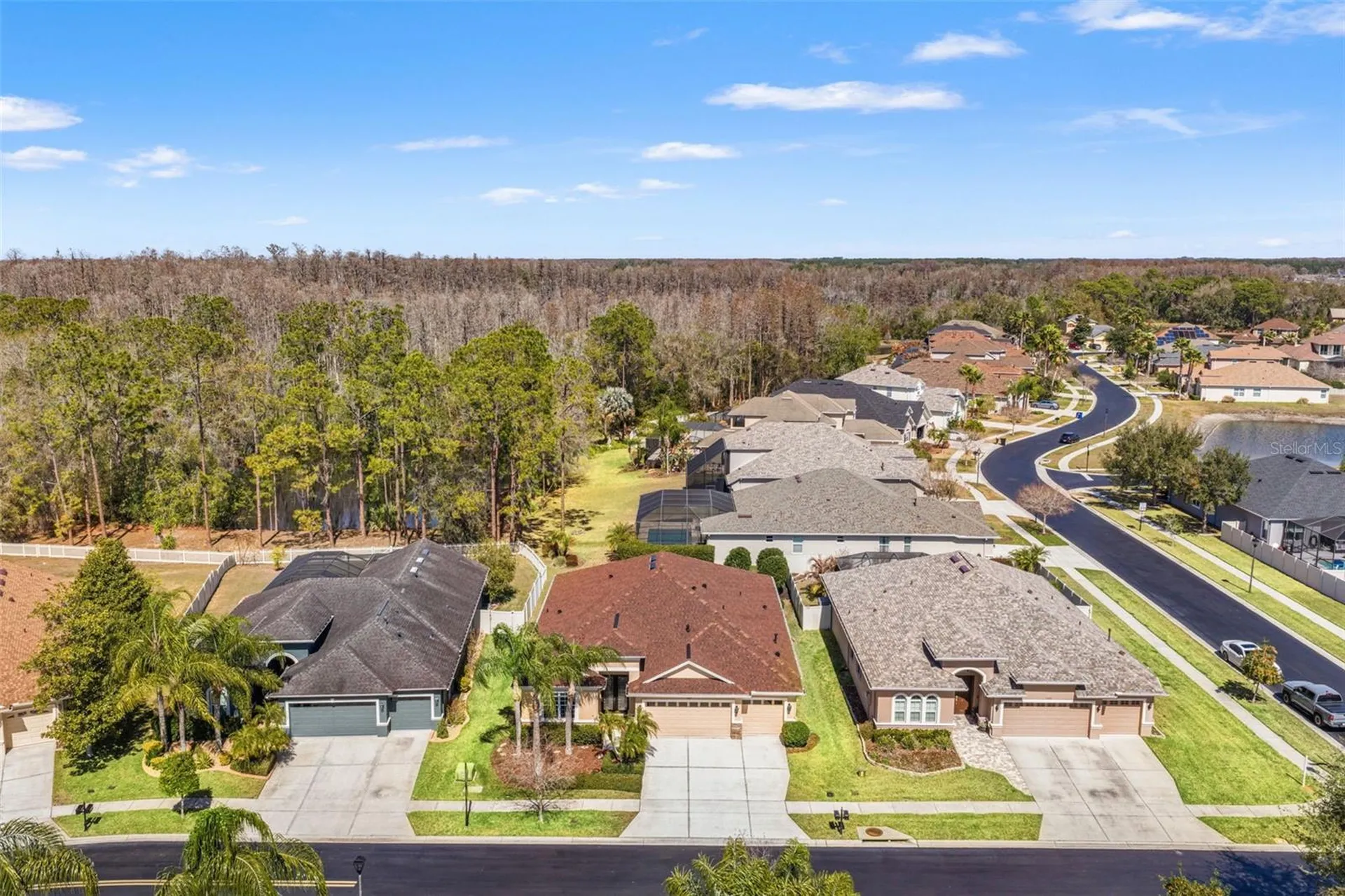 3303 Stonegate Falls Drive Land O Lakes FL 34638