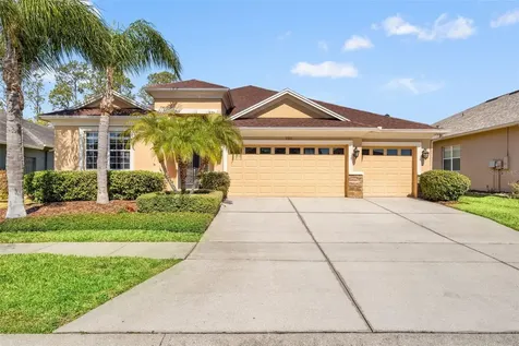 3303 Stonegate Falls Drive Land O Lakes FL 34638
