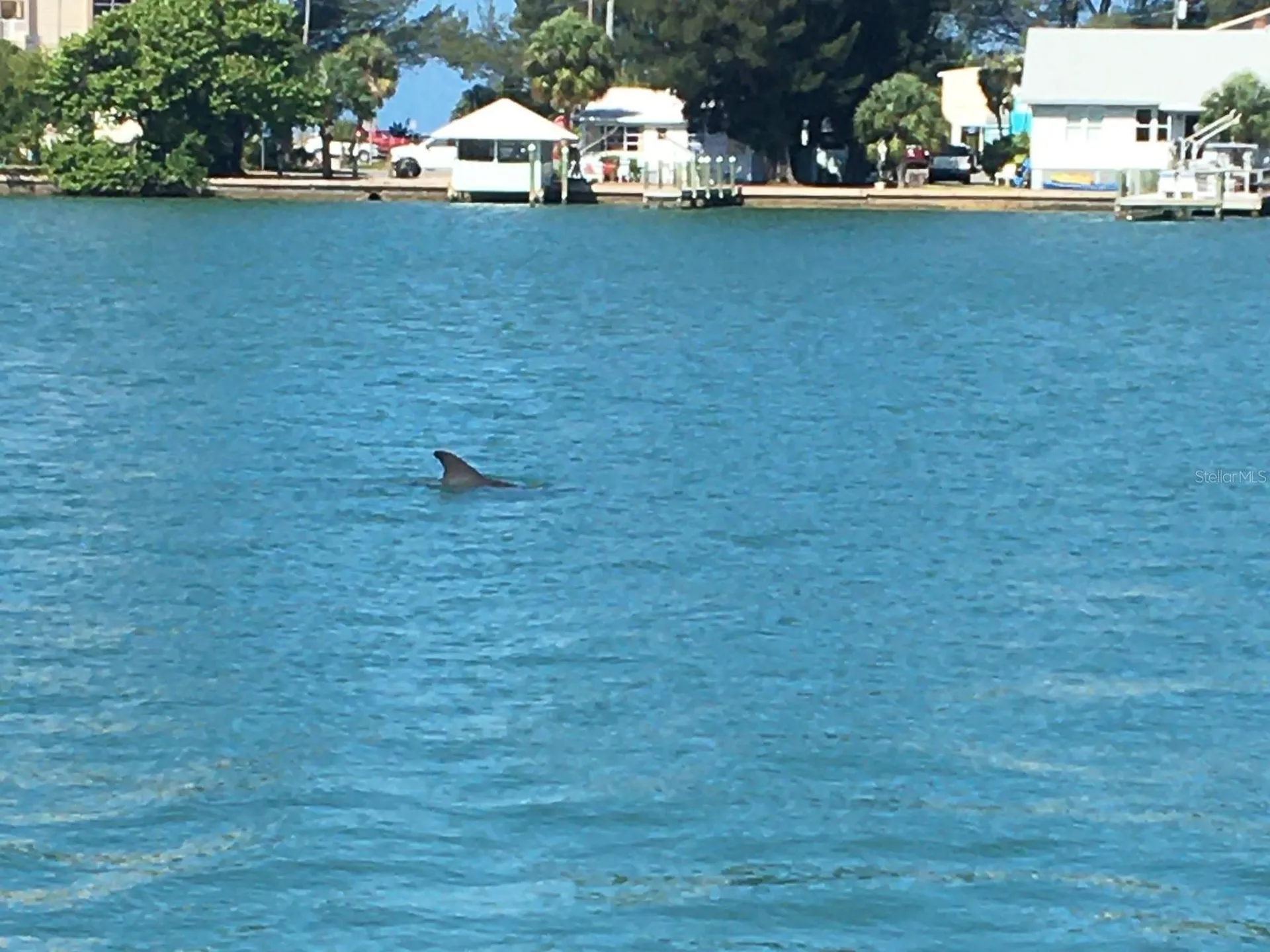 10126 Tarpon Drive Treasure Island FL 33706