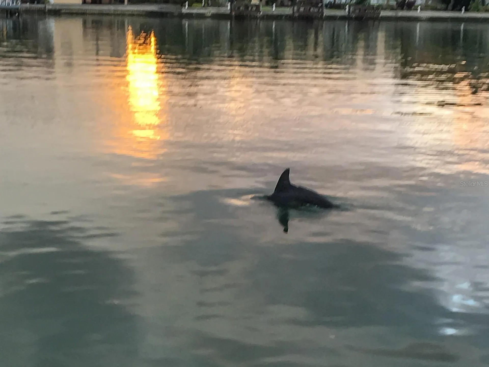 10126 Tarpon Drive Treasure Island FL 33706