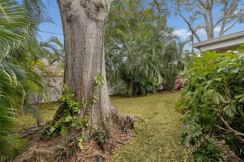 2268 Indian Avenue N Belleair Bluffs FL 33770