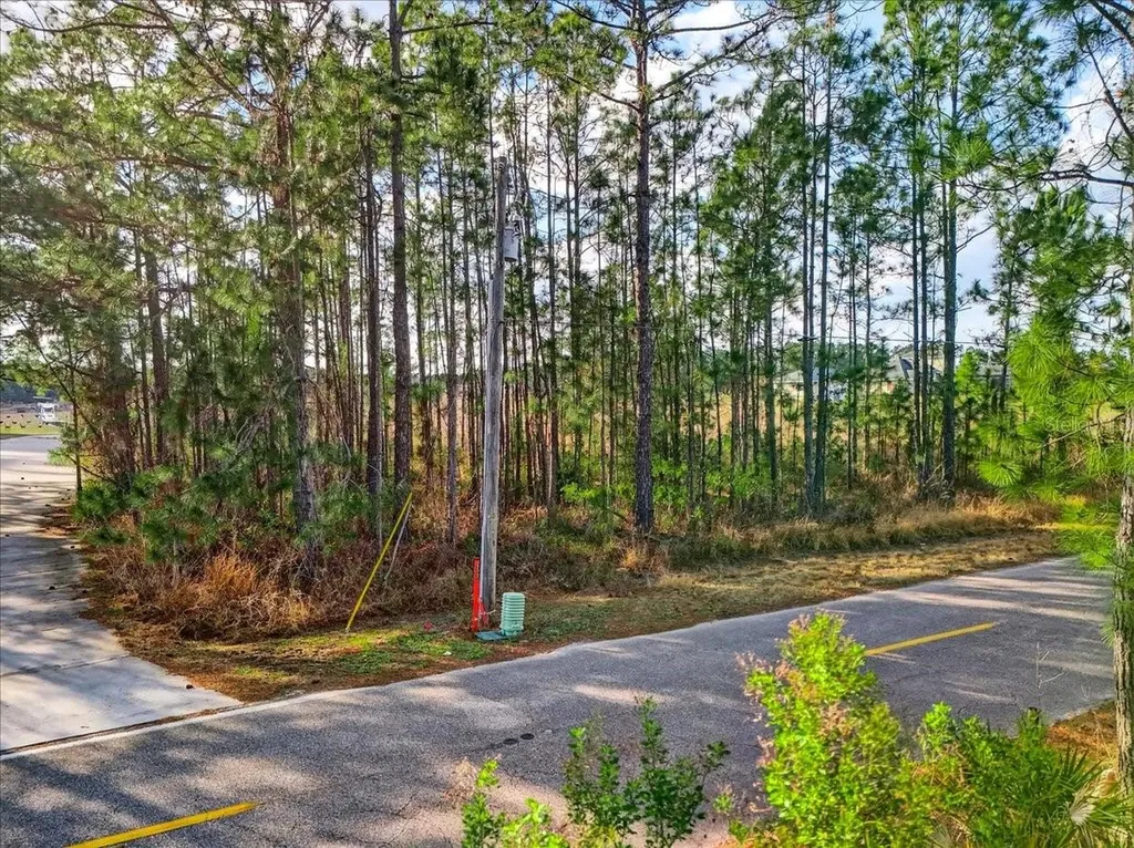 Sweet Hill Road Polk City FL 33868
