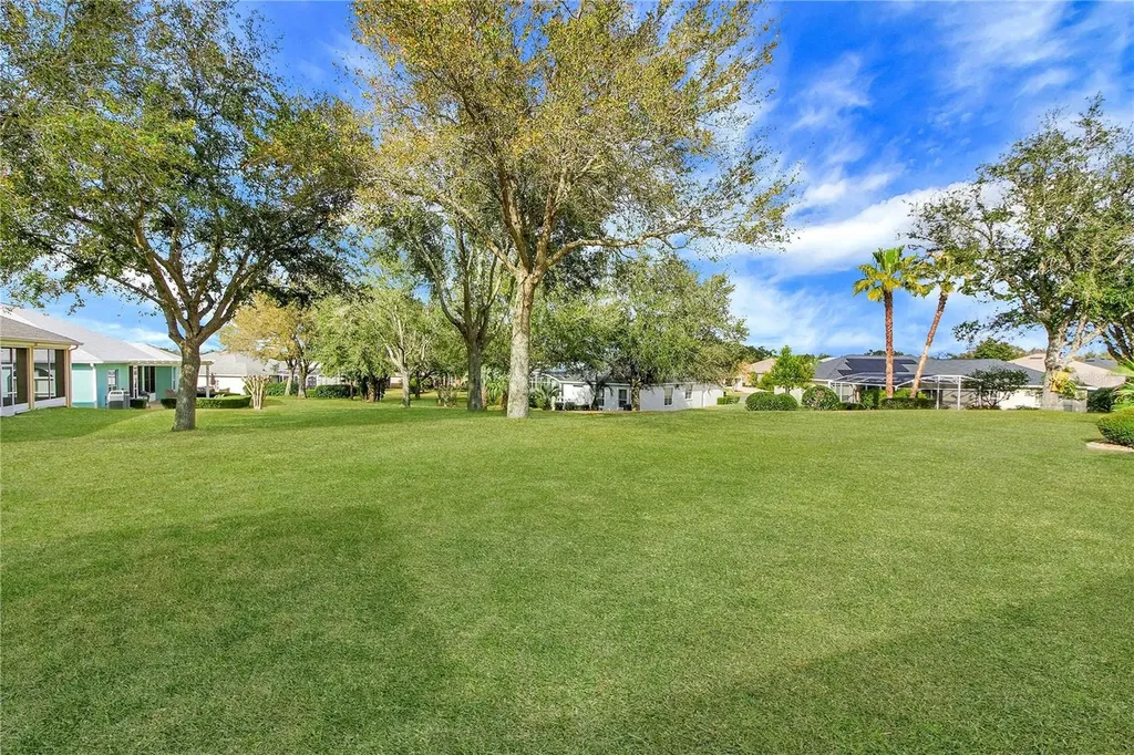 3715 Mulberry Grove Loop Leesburg FL 34748