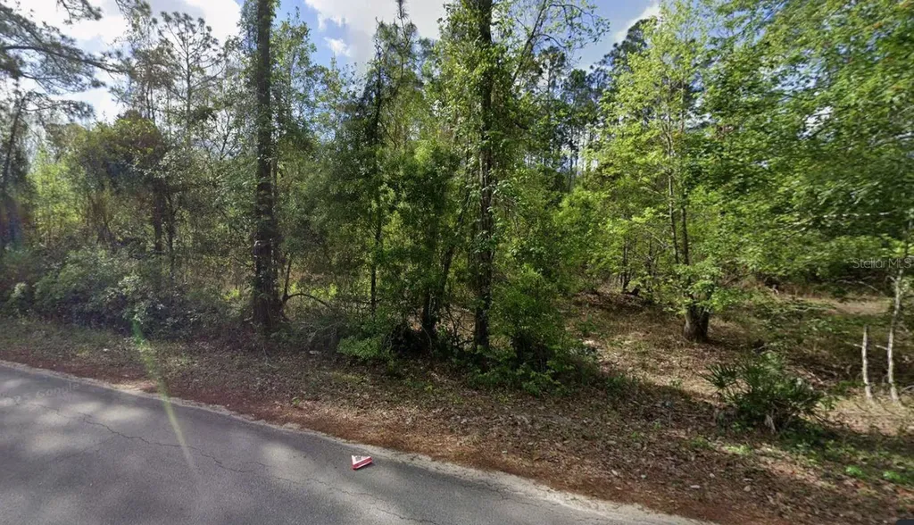 505 Hickory Nut Trail Satsuma FL 32189