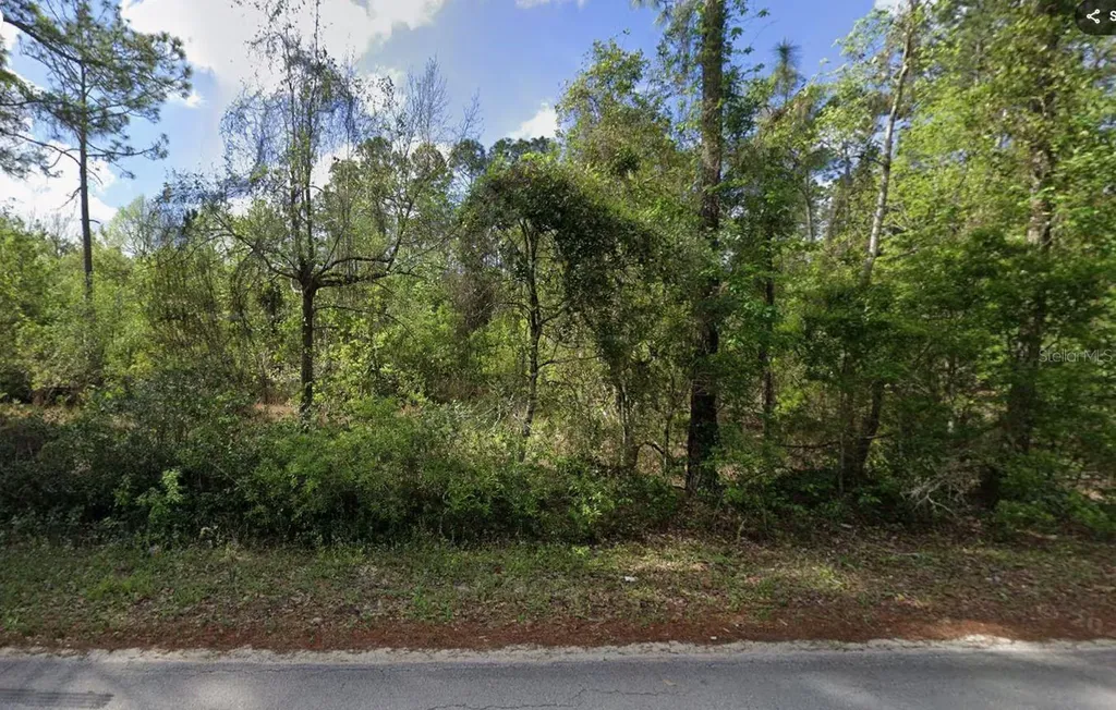 505 Hickory Nut Trail Satsuma FL 32189