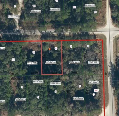 505 Hickory Nut Trail Satsuma FL 32189