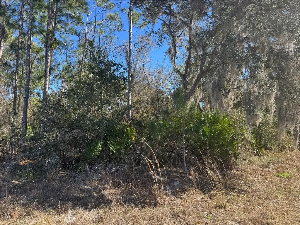 Grace Avenue Deland FL 32720
