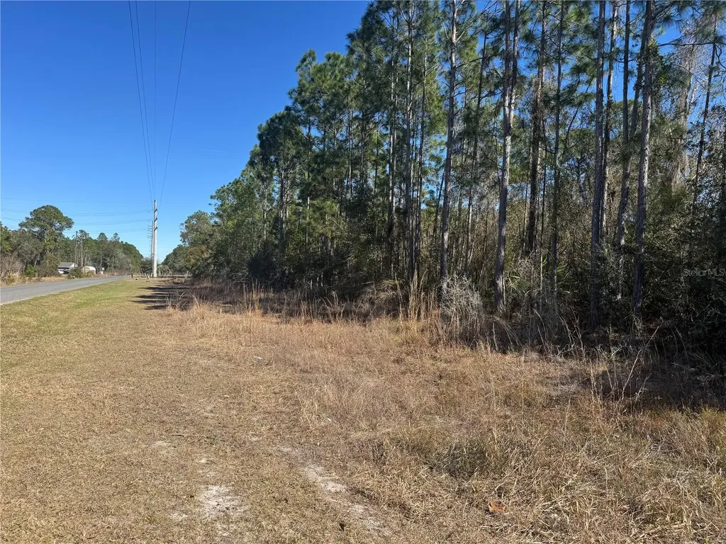 Grace Avenue Deland FL 32720