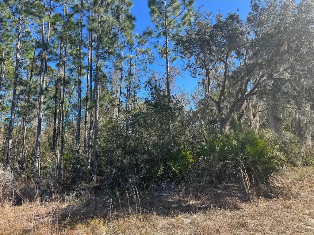 Grace Avenue Deland FL 32720