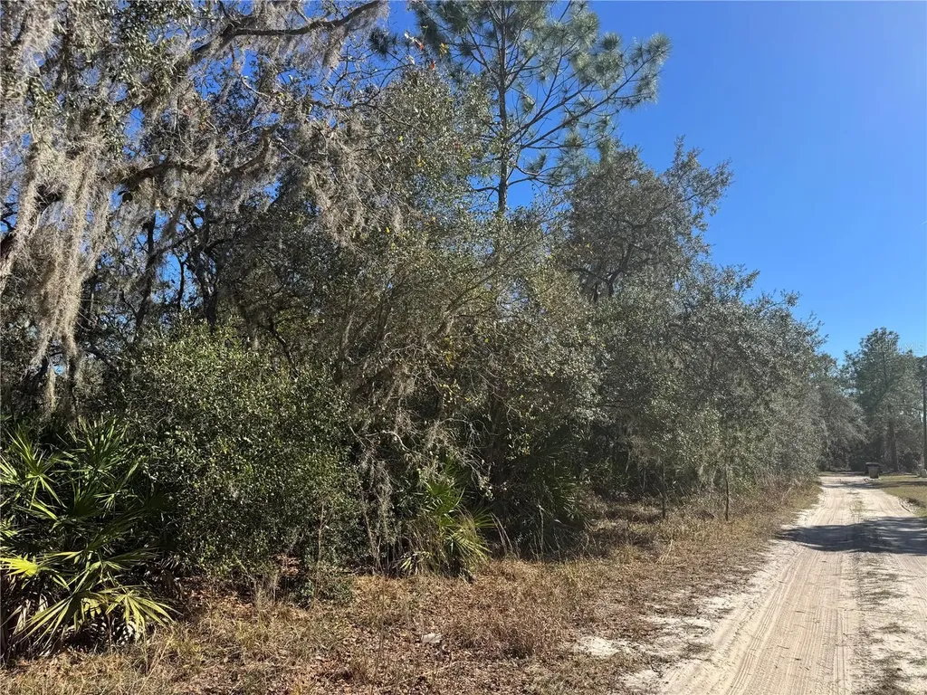 Grace Avenue Deland FL 32720