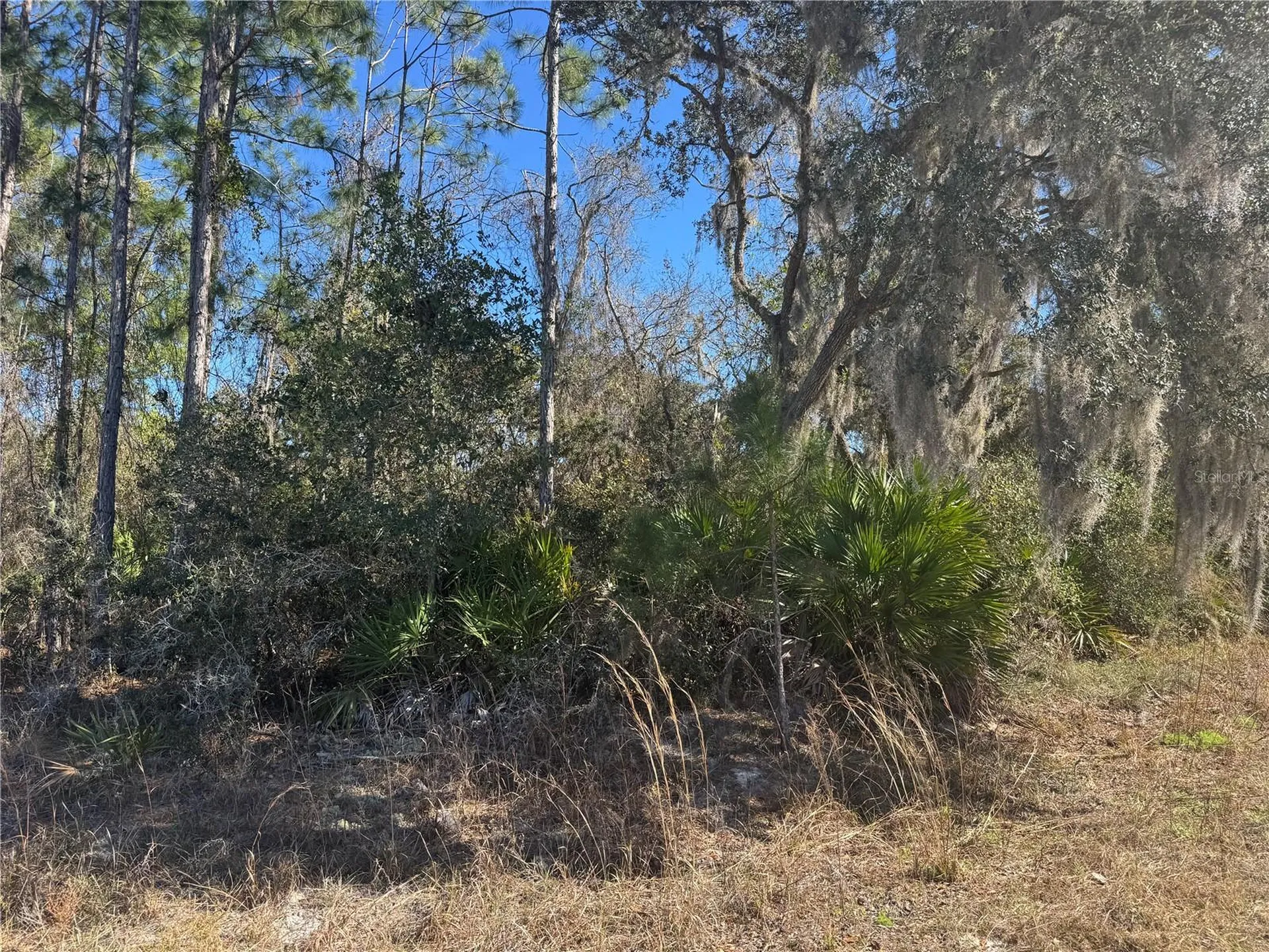Grace Avenue Deland FL 32720