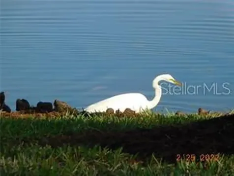 25601 Heritage Lake Boulevard Punta Gorda FL 33983