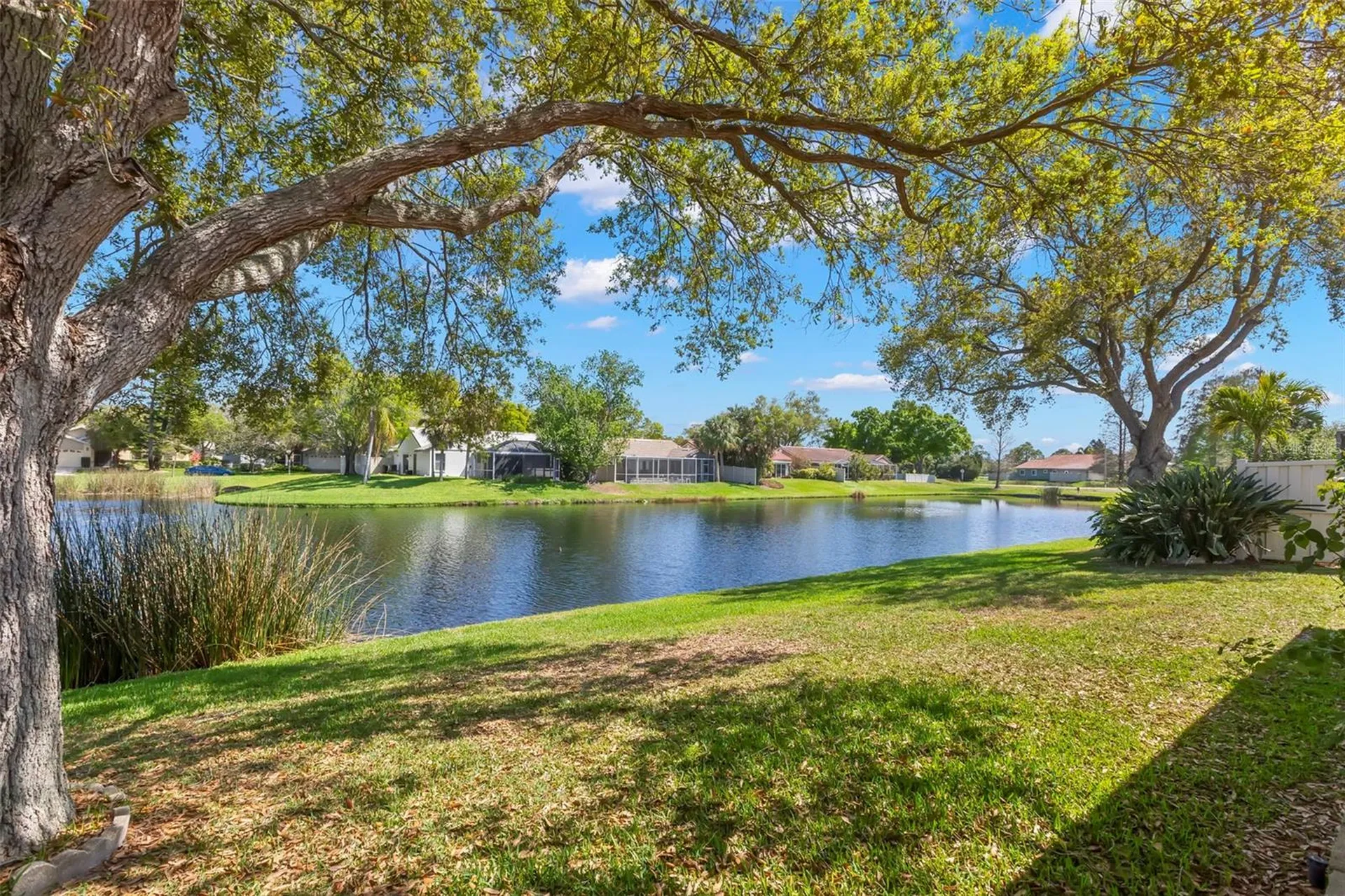 523 Padua Circle NE St Petersburg FL 33703