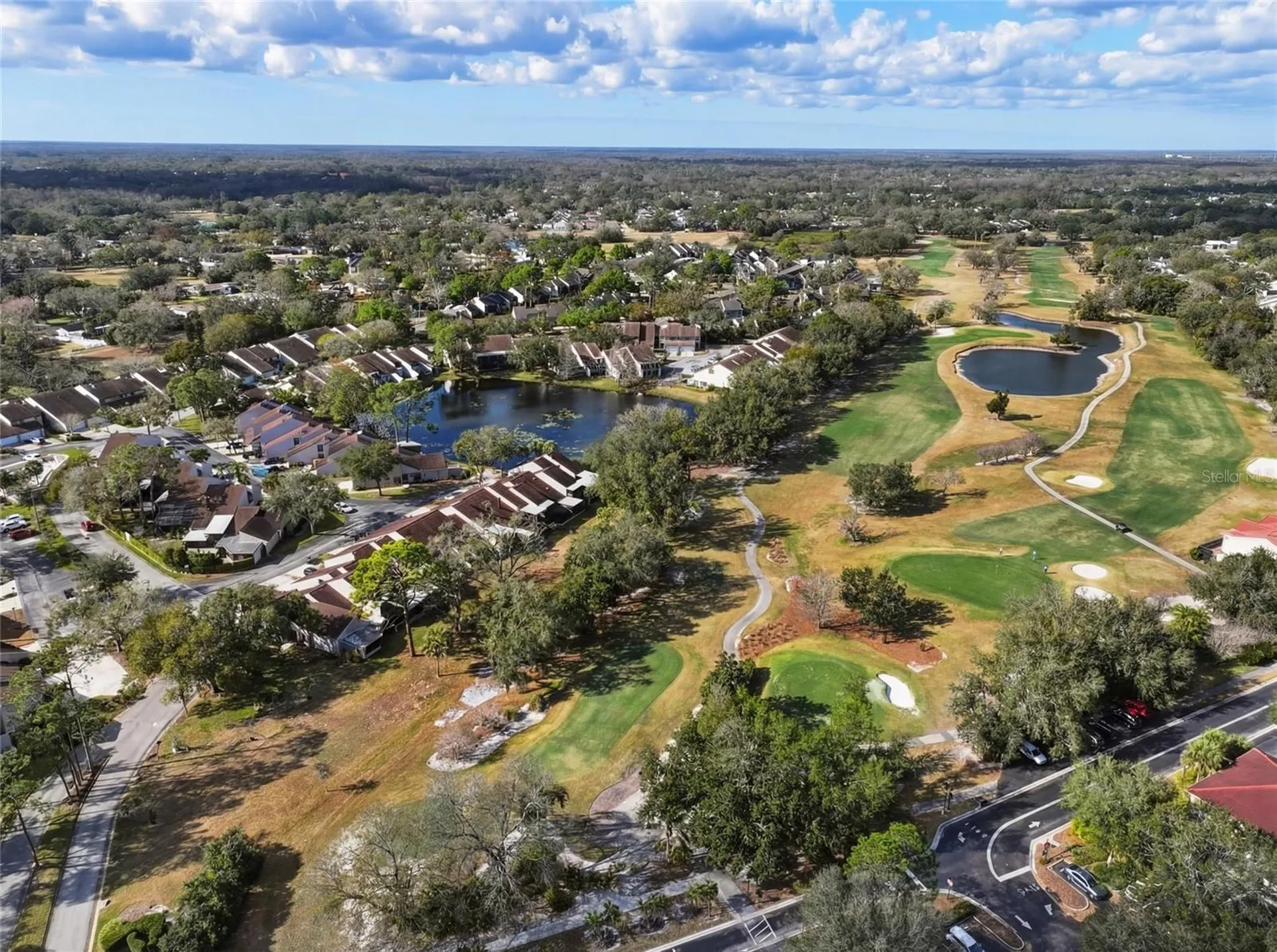 4203 Hartwood Lane Tampa FL 33618