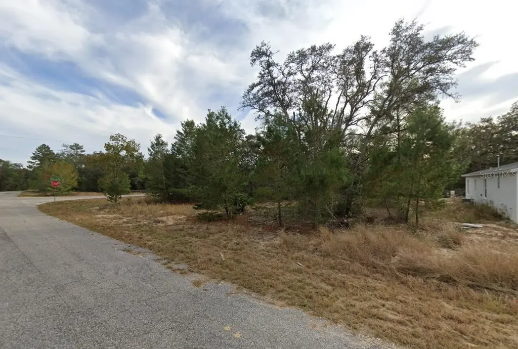 Fisher Way Drive Ocklawaha FL 32179
