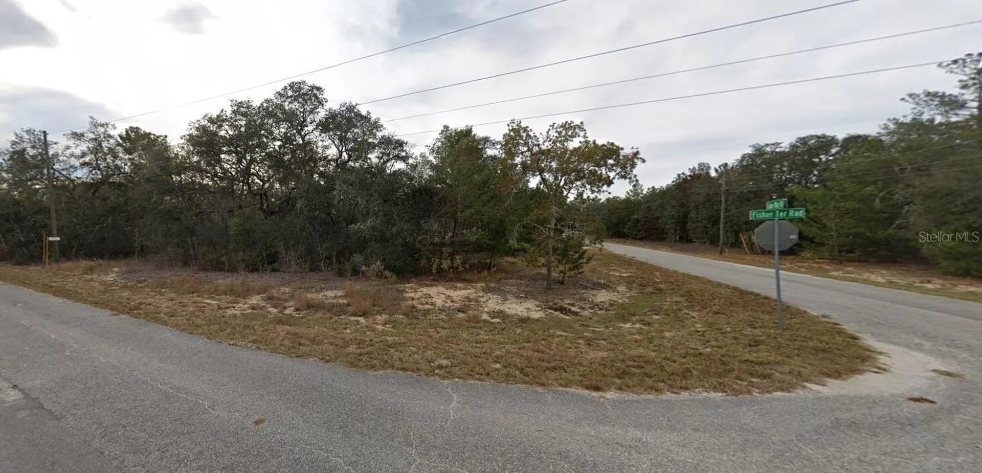 Fisher Way Drive Ocklawaha FL 32179