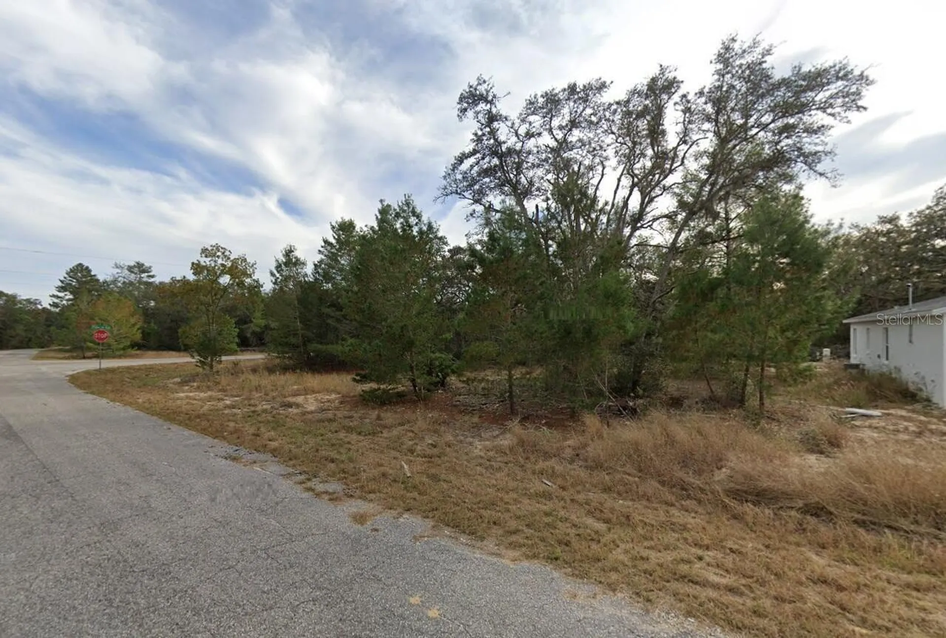 Fisher Way Drive Ocklawaha FL 32179