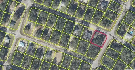 Fisher Way Drive Ocklawaha FL 32179