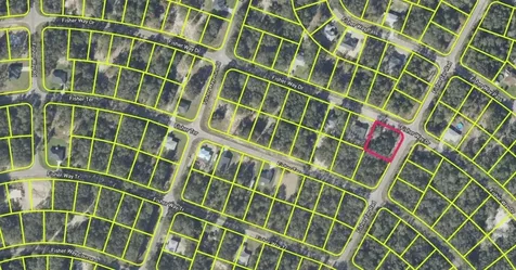 Fisher Way Drive Ocklawaha FL 32179