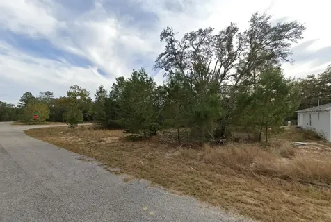 Fisher Way Drive Ocklawaha FL 32179