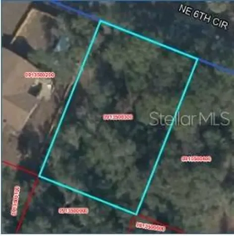000 NE 6th Circle Williston FL 32696