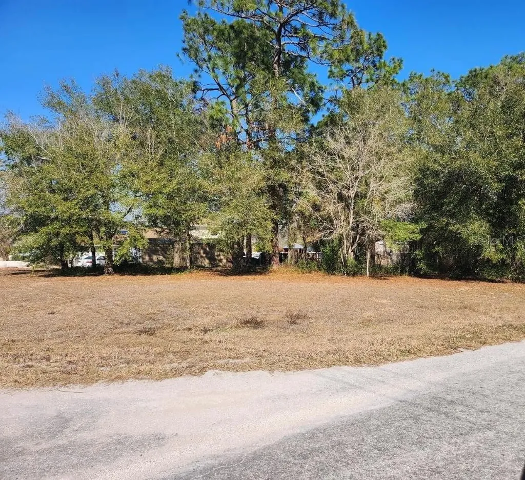 SE 97th Terrace Summerfield FL 34491