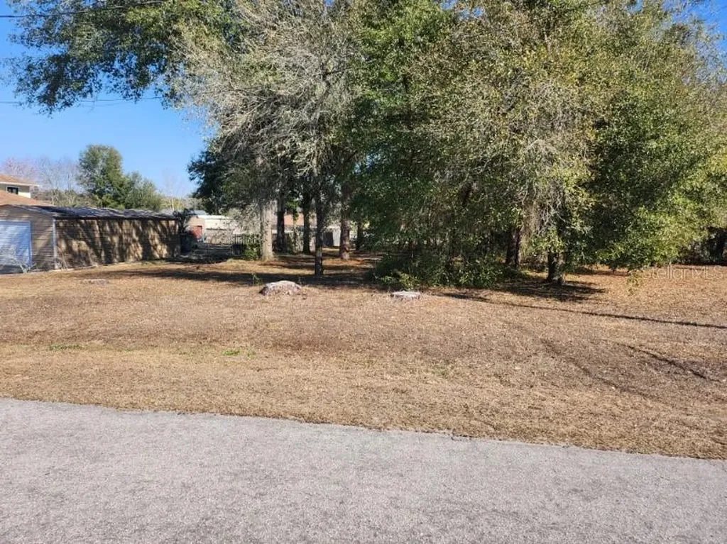 SE 97th Terrace Summerfield FL 34491