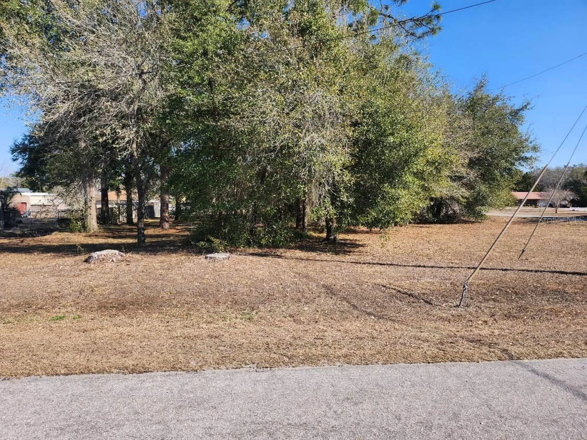 SE 97th Terrace Summerfield FL 34491