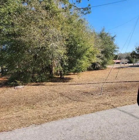 SE 97th Terrace Summerfield FL 34491