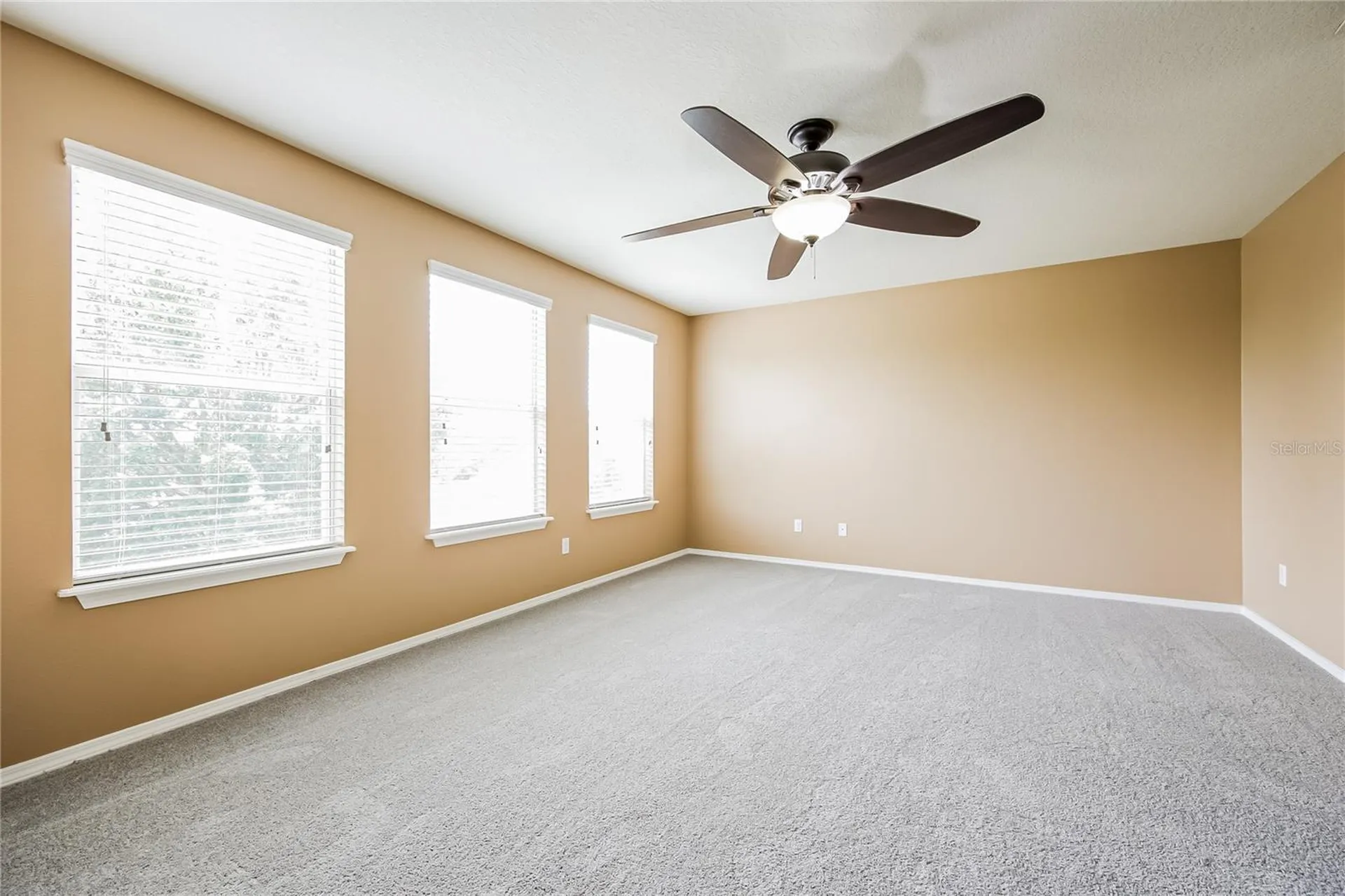 30207 Cheval Street Mount Dora FL 32757