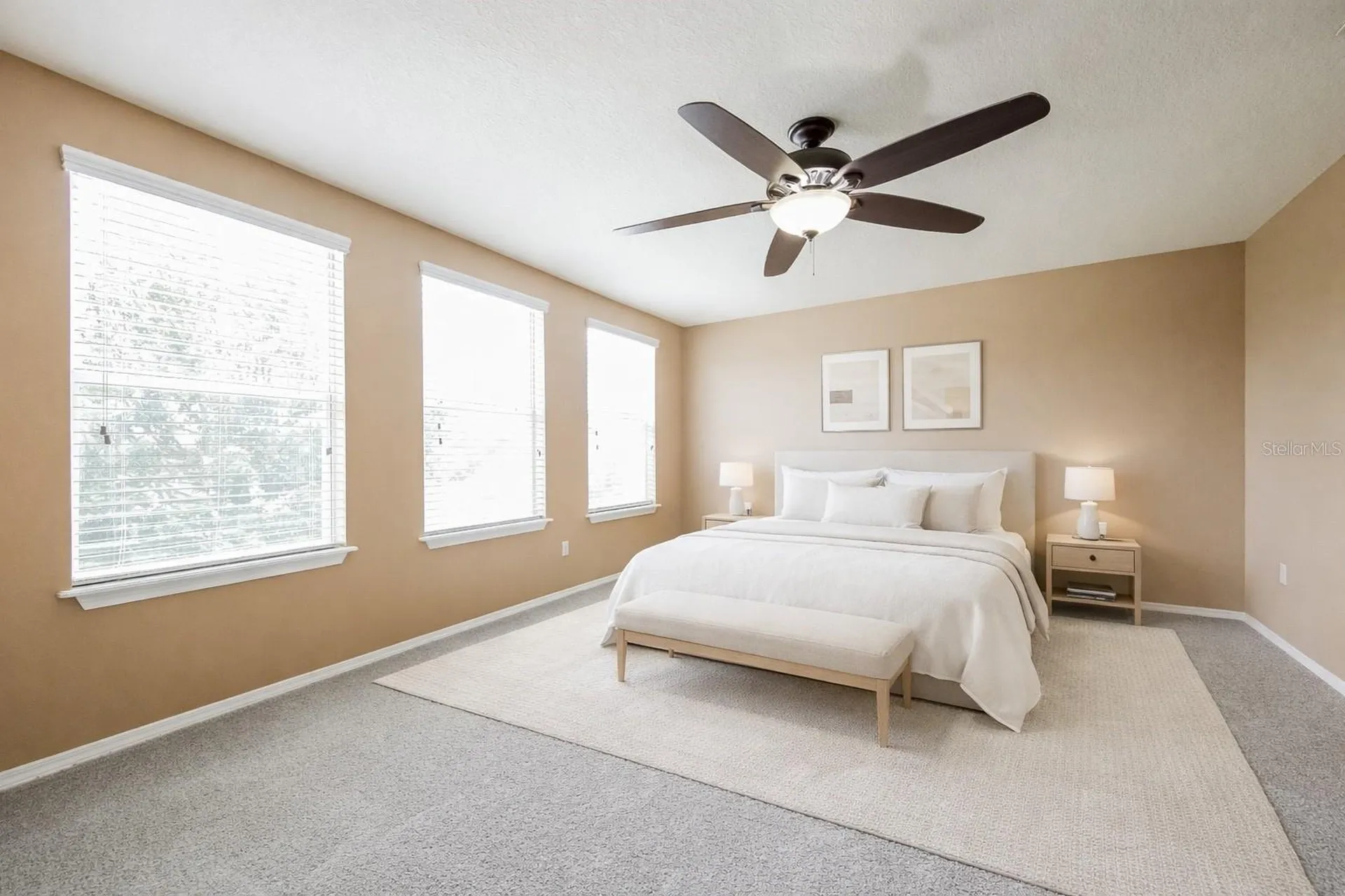 30207 Cheval Street Mount Dora FL 32757