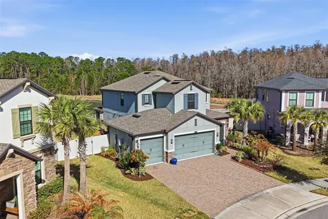 5026 Tivoli Drive Wesley Chapel FL 33543