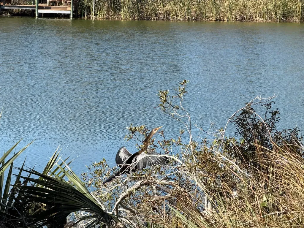74 Heron Drive Palm Coast FL 32137