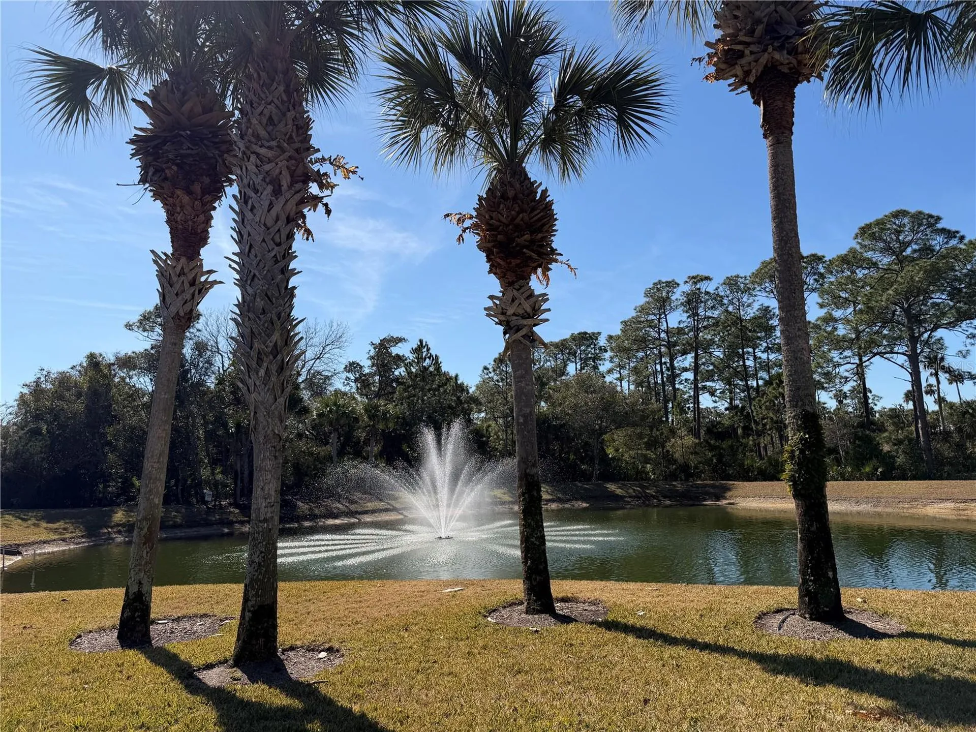 74 Heron Drive Palm Coast FL 32137
