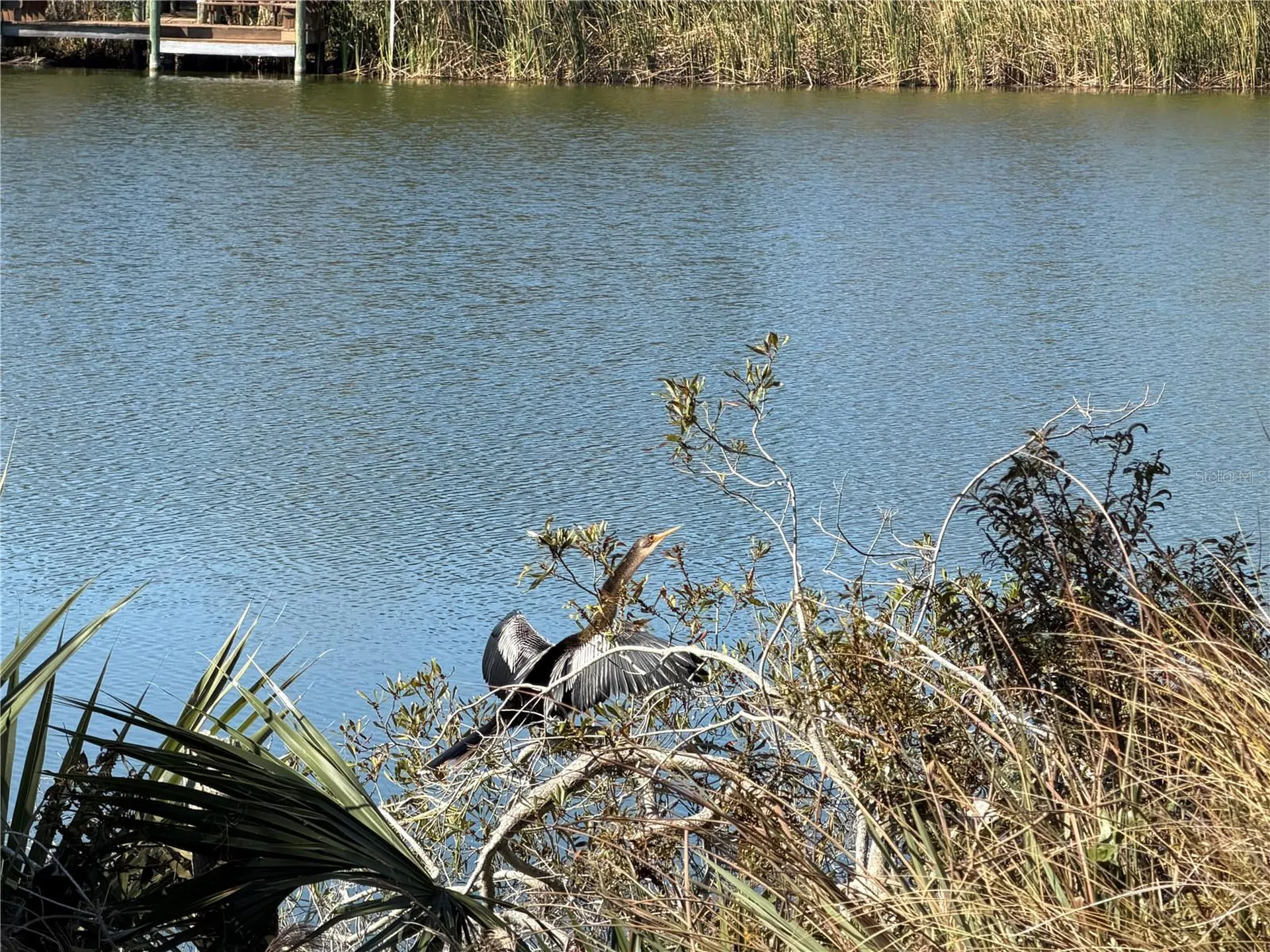74 Heron Drive Palm Coast FL 32137
