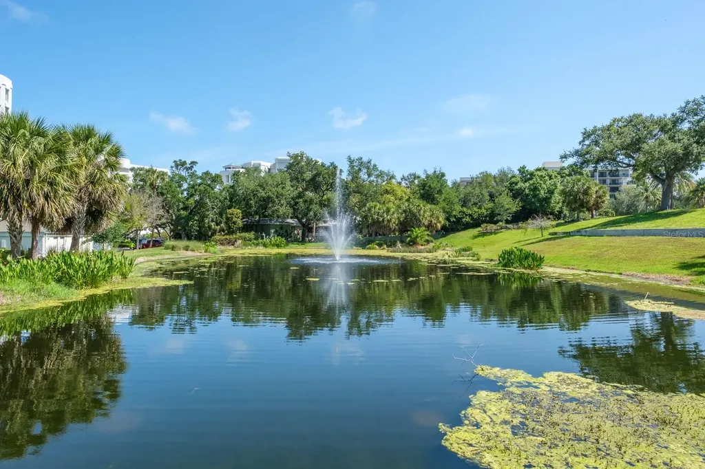 8 Belleview Boulevard Belleair FL 33756