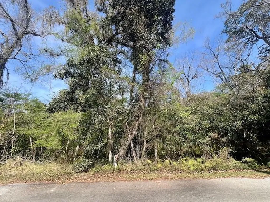 0 Southwood Court New Port Richey FL 34654