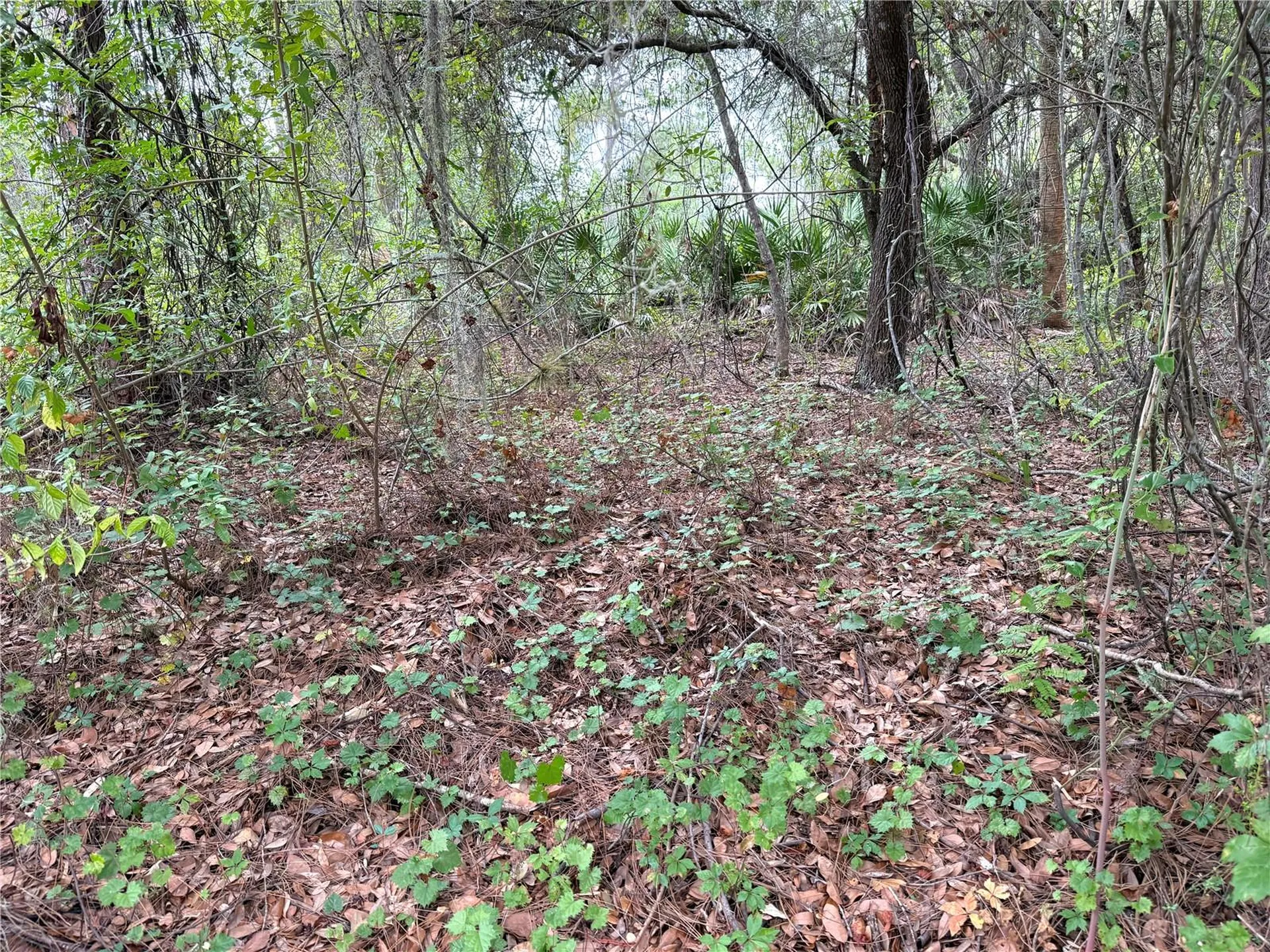 368 Nestle Avenue Lehigh Acres FL 33972