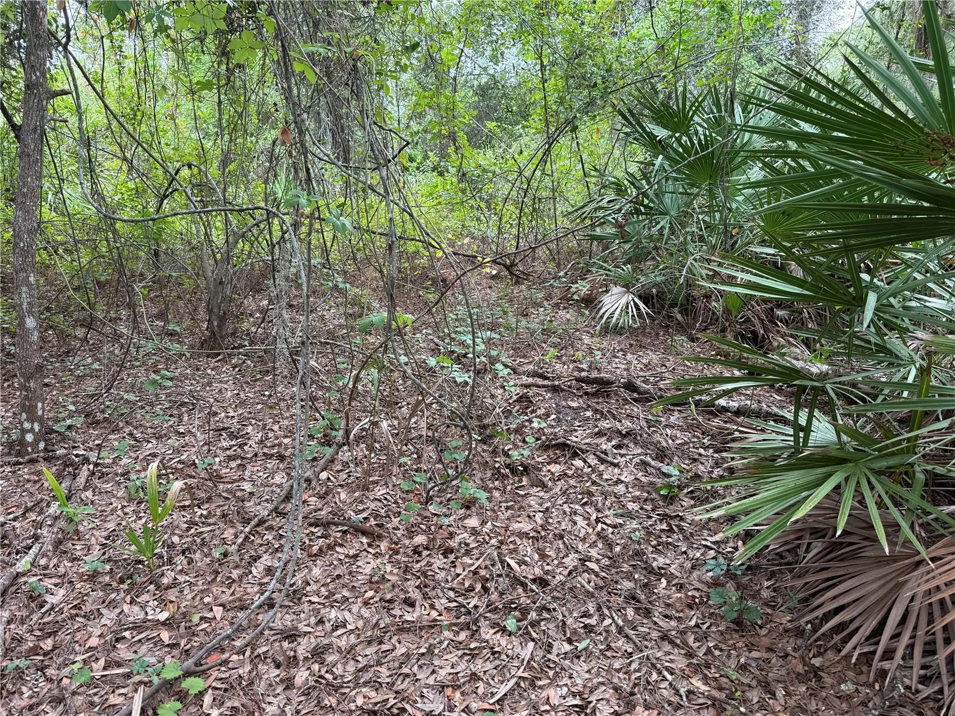 368 Nestle Avenue Lehigh Acres FL 33972