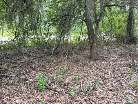 368 Nestle Avenue Lehigh Acres FL 33972