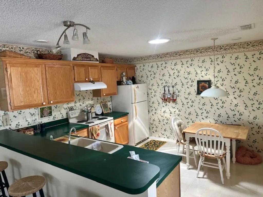 2726 Moncayo Avenue The Villages FL 32162