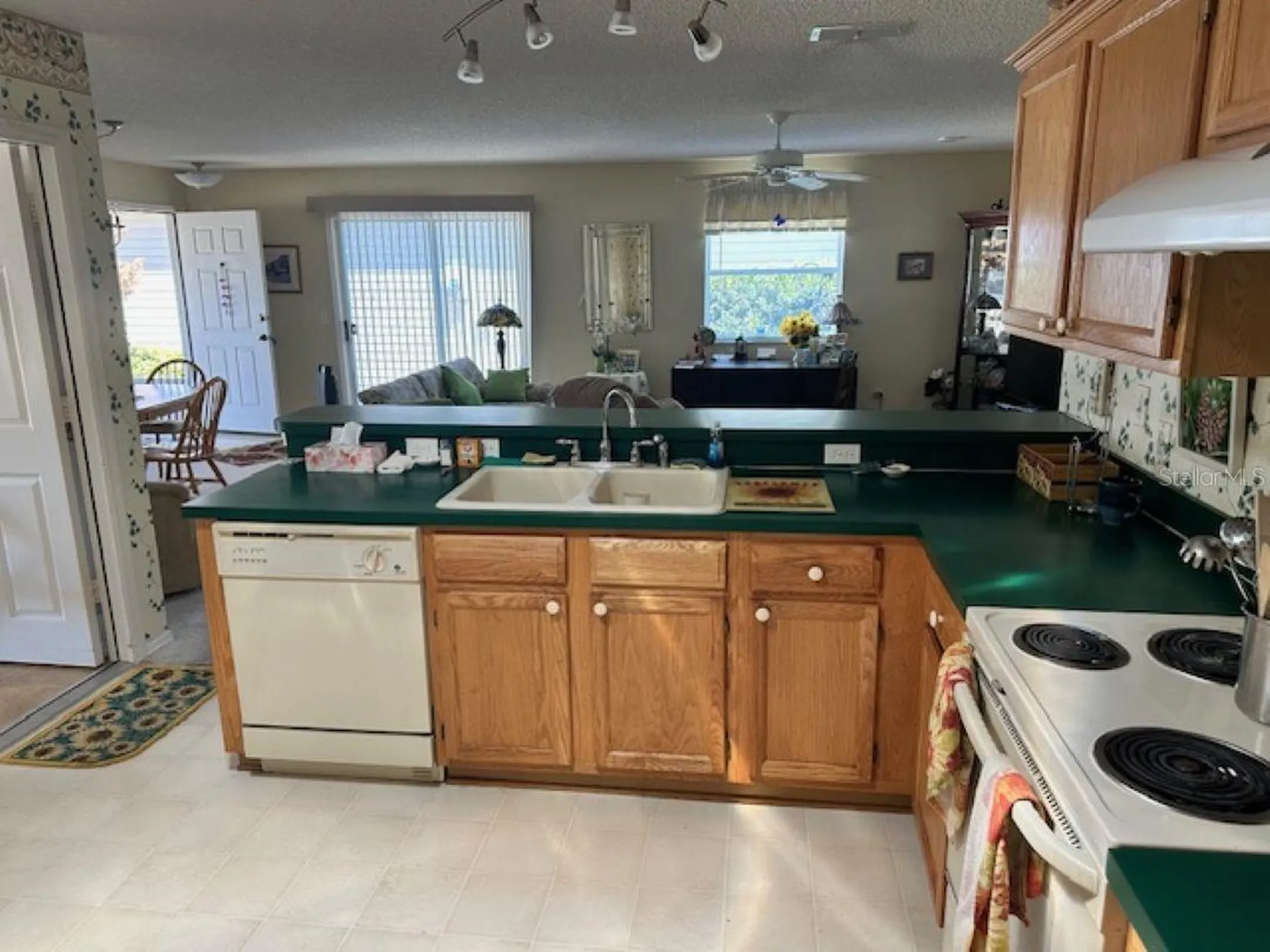 2726 Moncayo Avenue The Villages FL 32162