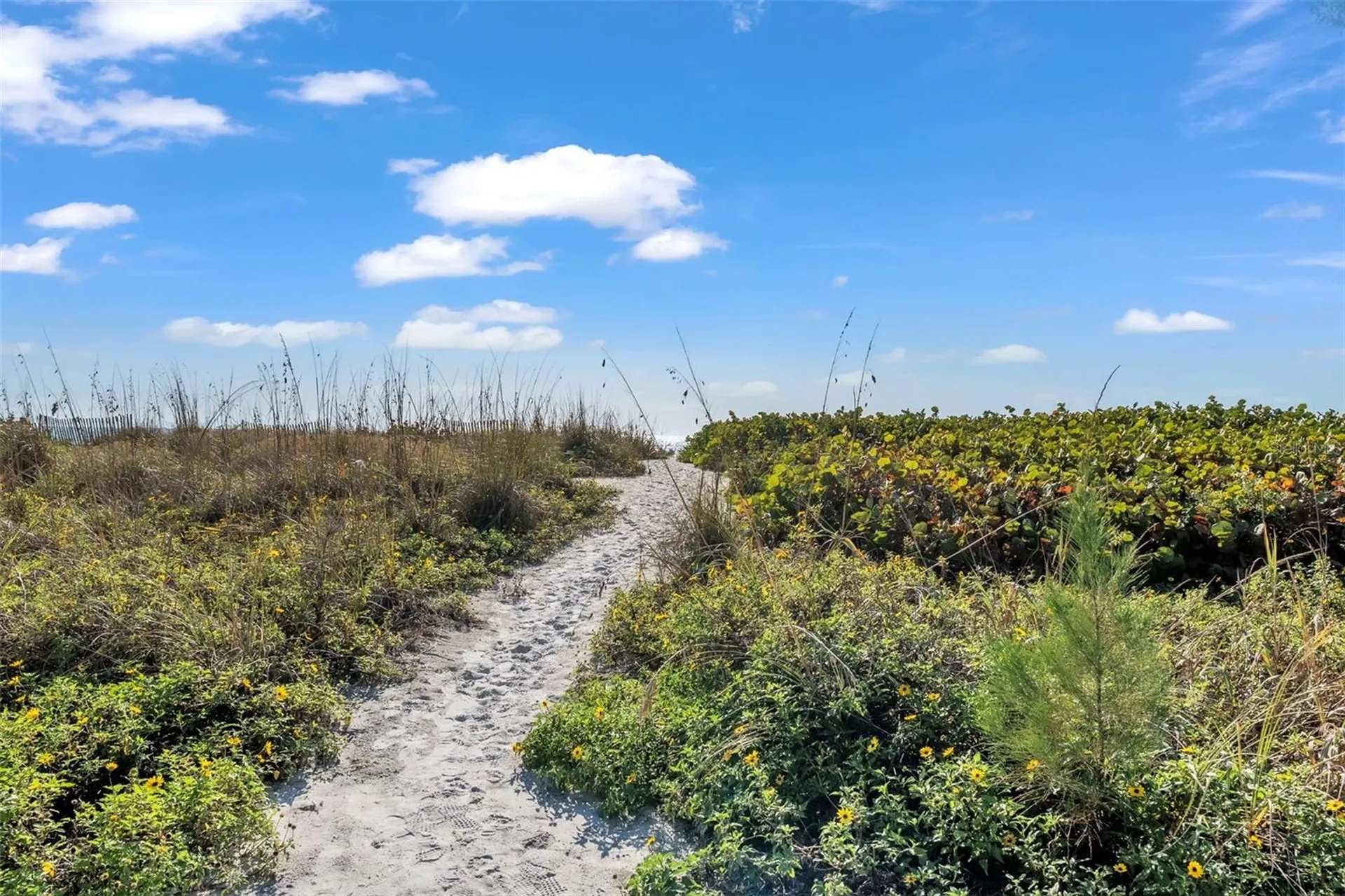 5635 Gulf Of Mexico Drive Longboat Key FL 34228