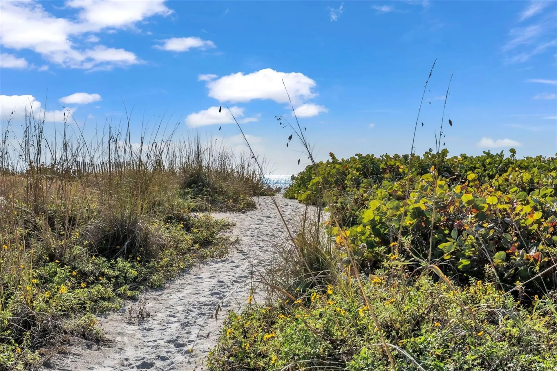 5635 Gulf Of Mexico Drive Longboat Key FL 34228