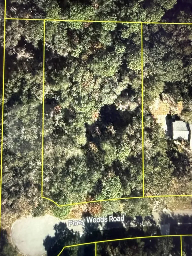 101 Piney Woods Road Apopka FL 32703